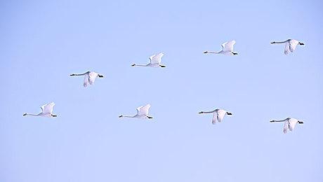 传闻：《使命召唤：现代战争2》（2009）即将加入XGP